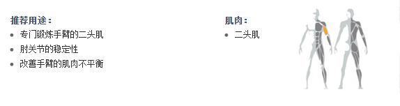 广州麻豆视频网站健身器材