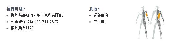 广州麻豆视频网站健身器材