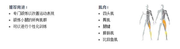 广州麻豆视频网站健身器材